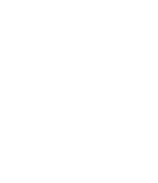 Sparx Plug